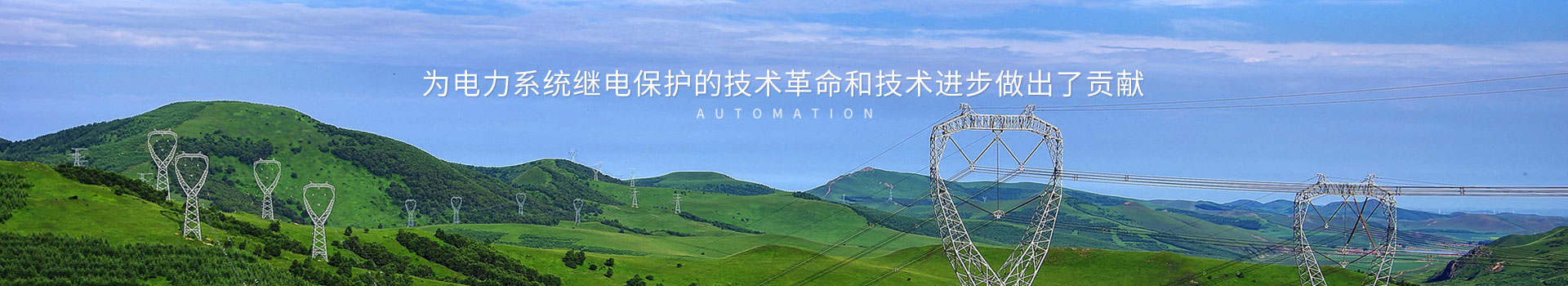 國電武儀